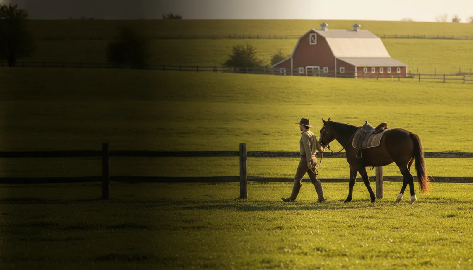 About horseyhorsey.org